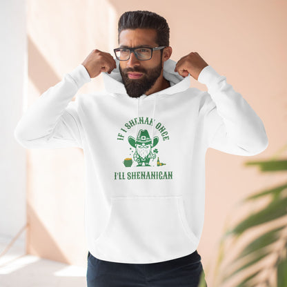 Funny St. Patrick's Day Hoodie - Shenan & Shenanigans