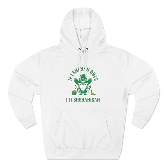 Funny St. Patrick's Day Hoodie - Shenan & Shenanigans