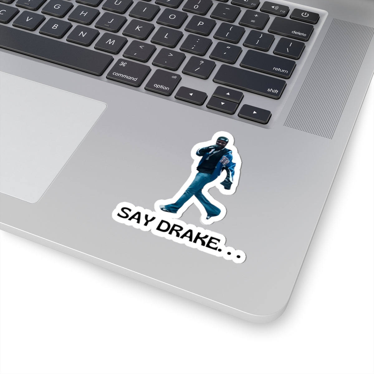 Say Drake...  Kiss-Cut Stickers Vinyl Decals to Show Off Your Snark