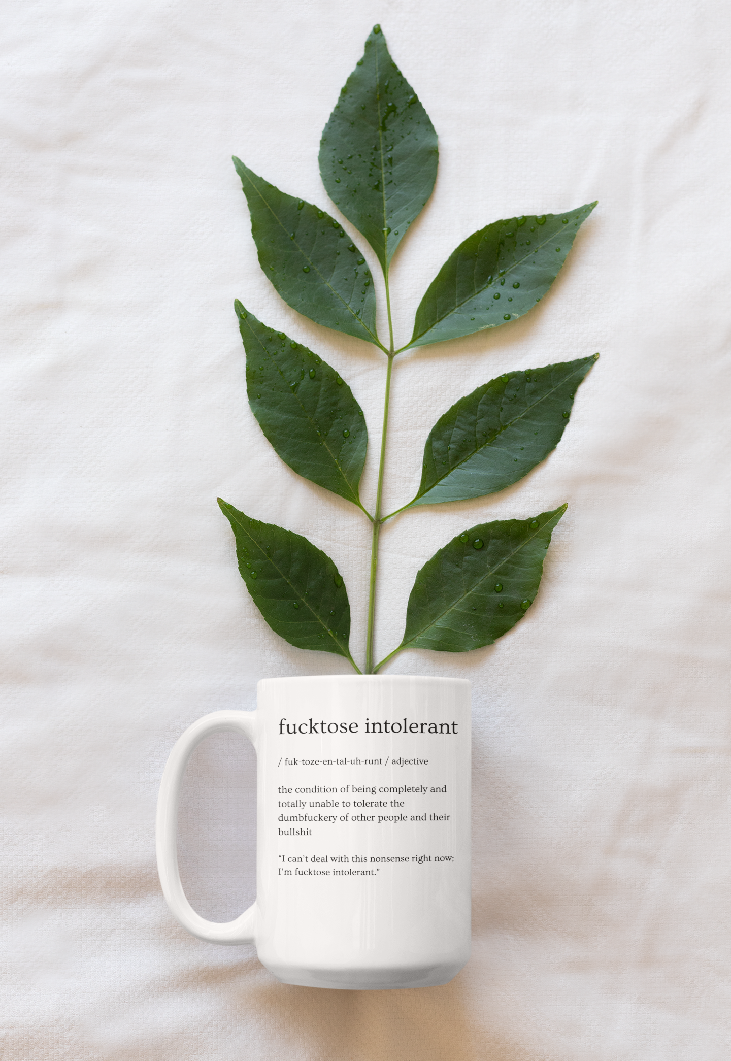 Fucktose Intolerant Definition Mug (15 oz) - Perfect Coffee Companion for Daily Snark